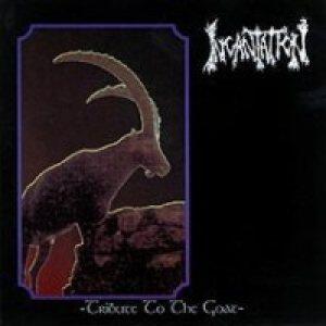 Incantation《Profanation》GTP谱