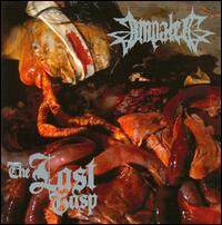 Impaled《Sickness Is Health》GTP谱