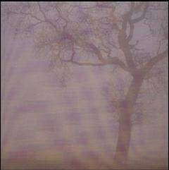 Jesu《Silver》GTP谱