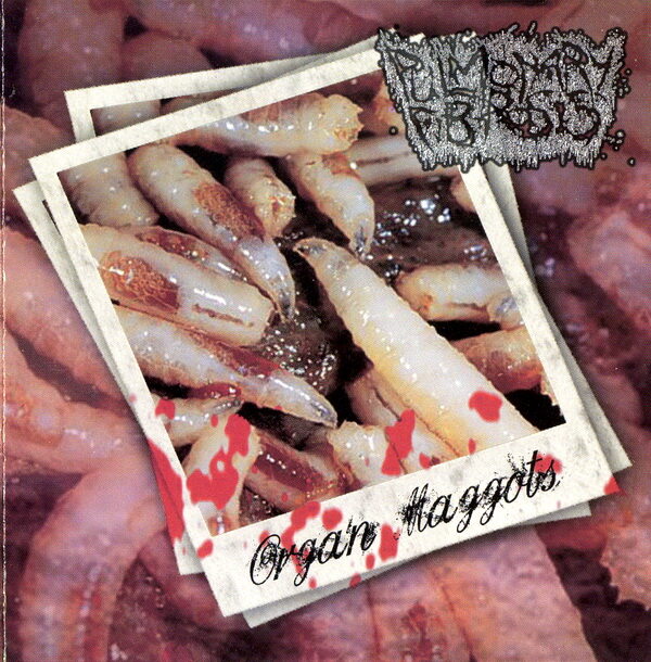 Jungle Rot《Psychotric Cremation》GTP谱
