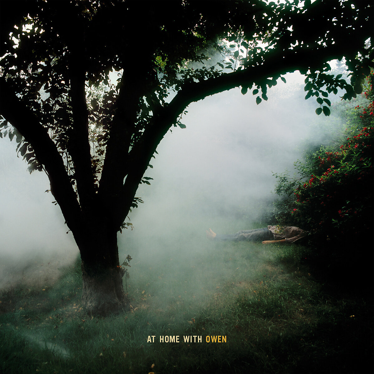 Owen《The Sad Waltzes Of Pietro Crespi》GTP谱