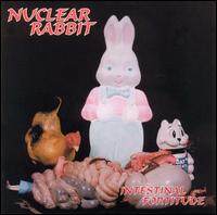 Nuclear Rabbit《Return Of Agent Embryo》GTP谱