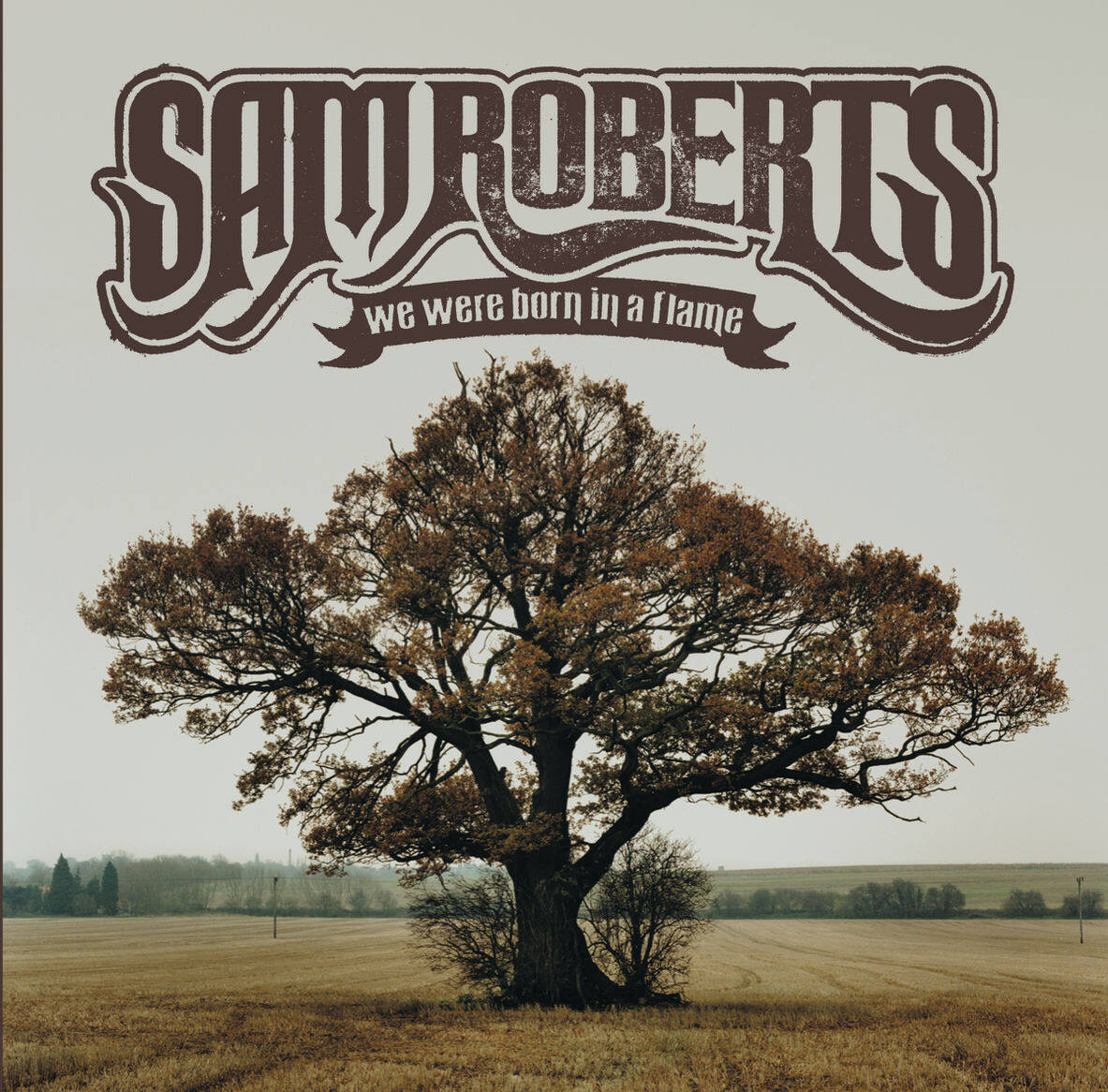 Sam Roberts《Dont Walk Away Eileen》GTP谱