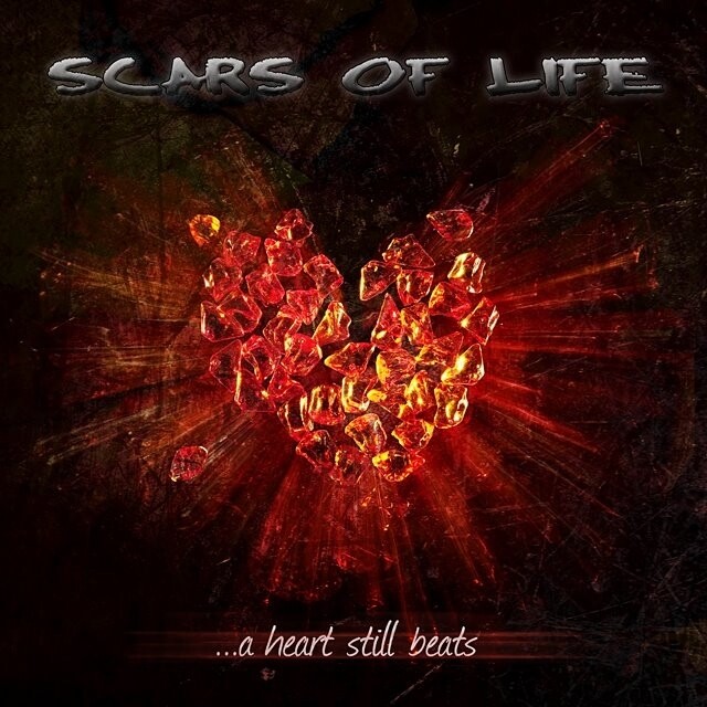 Scars of Life《Endure》GTP谱