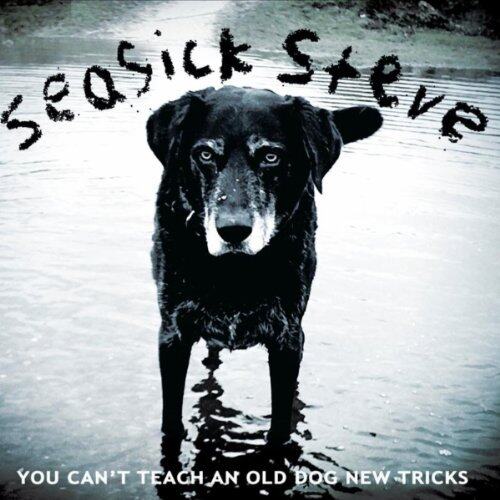 Seasick Steve《Burnin Up》GTP谱