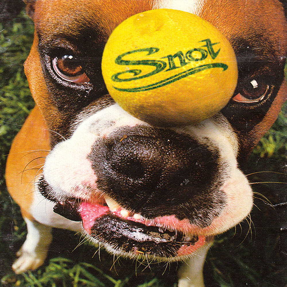 Snot《Joy Ride》GTP谱