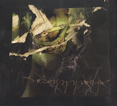 Sparklehorse《Sea Of Teeth》GTP谱