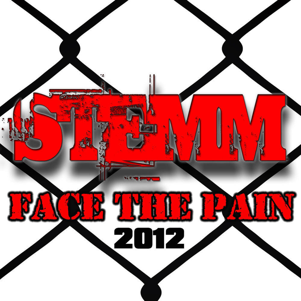 Stemm《Face The Pain》GTP谱