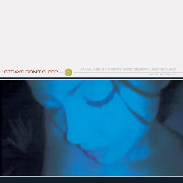 Strays Don\'t Sleep《For Blue Blue Skies》GTP谱
