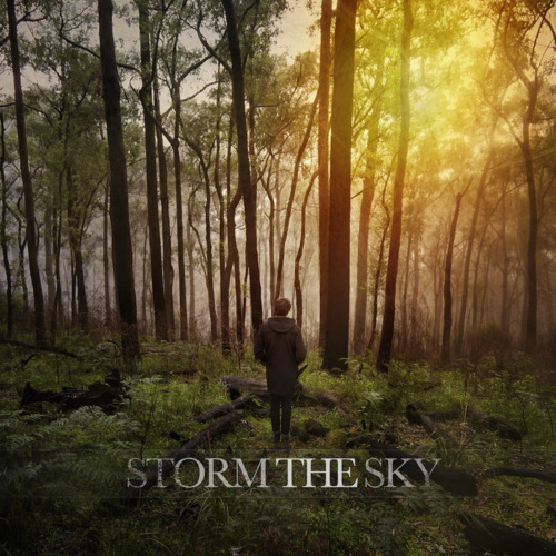 Storm The Sky《Giants》GTP谱