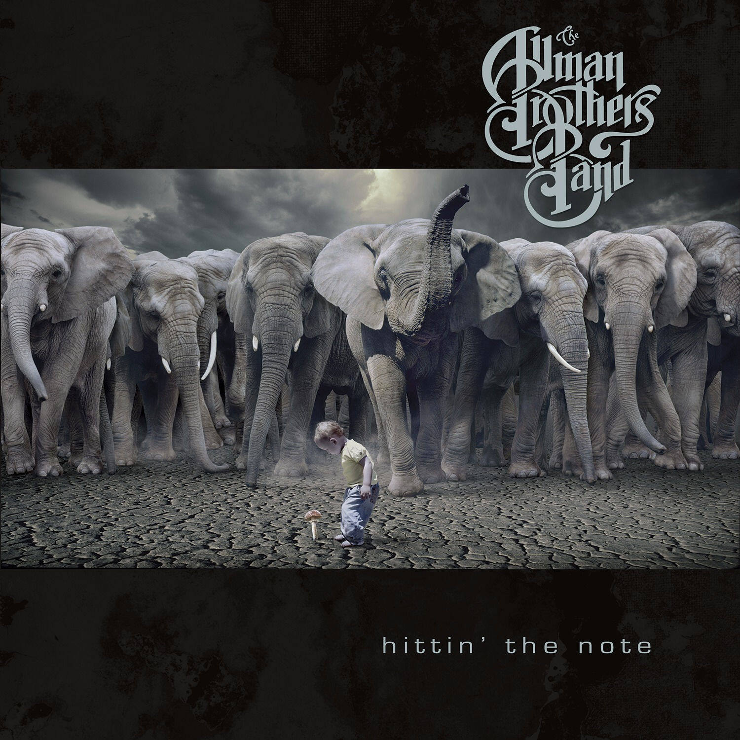 The Allman Brothers Band《Maydell》GTP谱