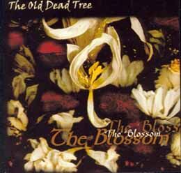 The Old Dead Tree《Its The Same For Everyone》GTP谱