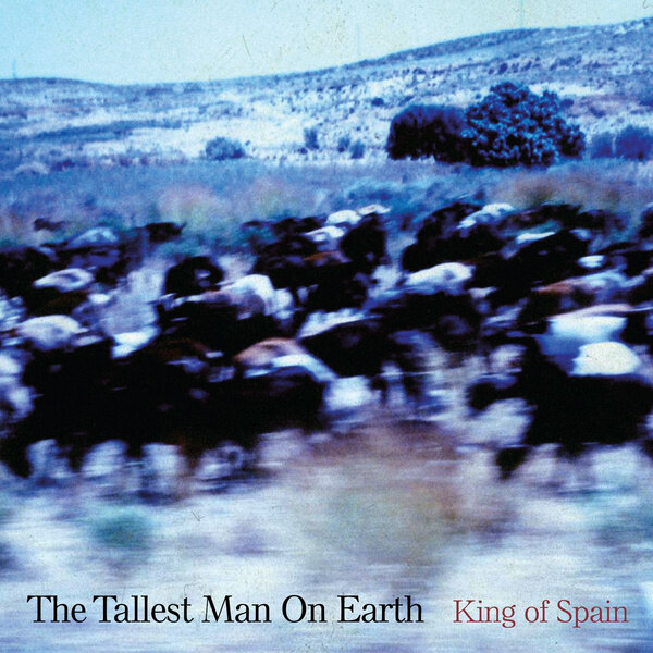 The Tallest Man on Earth《Where I Thought I Met The Angels》GTP谱