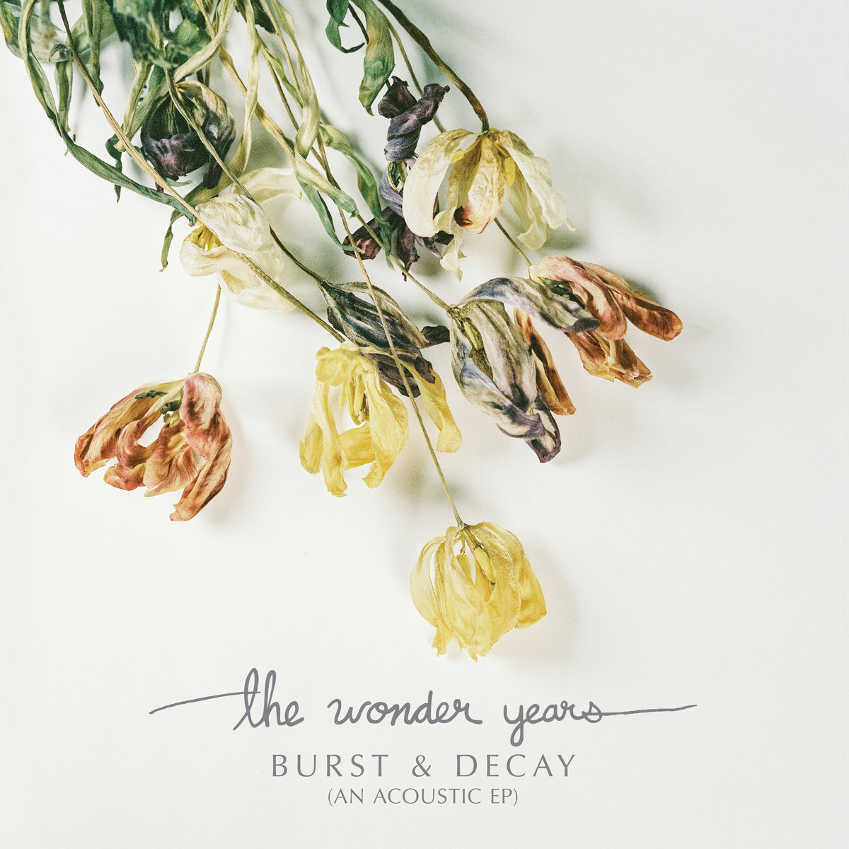 The Wonder Years《There There》GTP谱