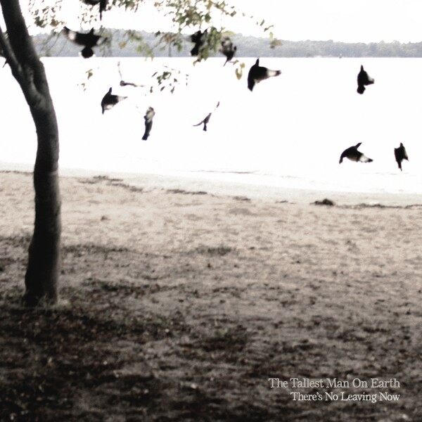 The Tallest Man on Earth《Revelation Blues》GTP谱