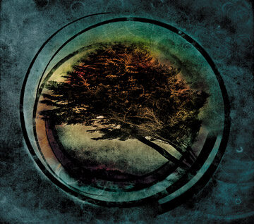 Tides From Nebula《Higgs Boson》GTP谱