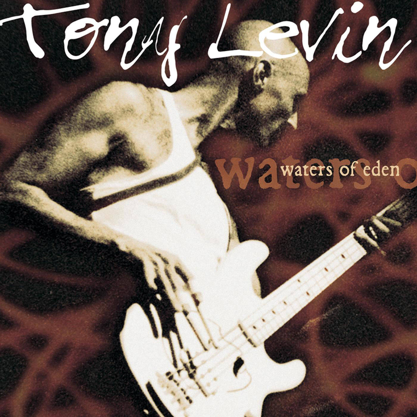 Tony Levin《Pillar Of Fire》GTP谱