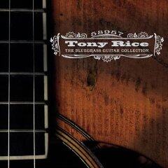 Tony Rice《Blackberry Blossom》GTP谱