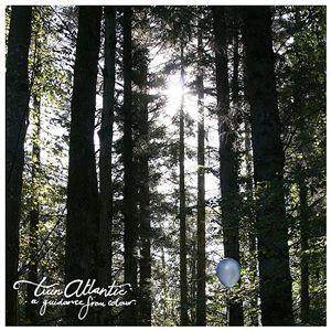Twin Atlantic《A Guidance From Colour》GTP谱
