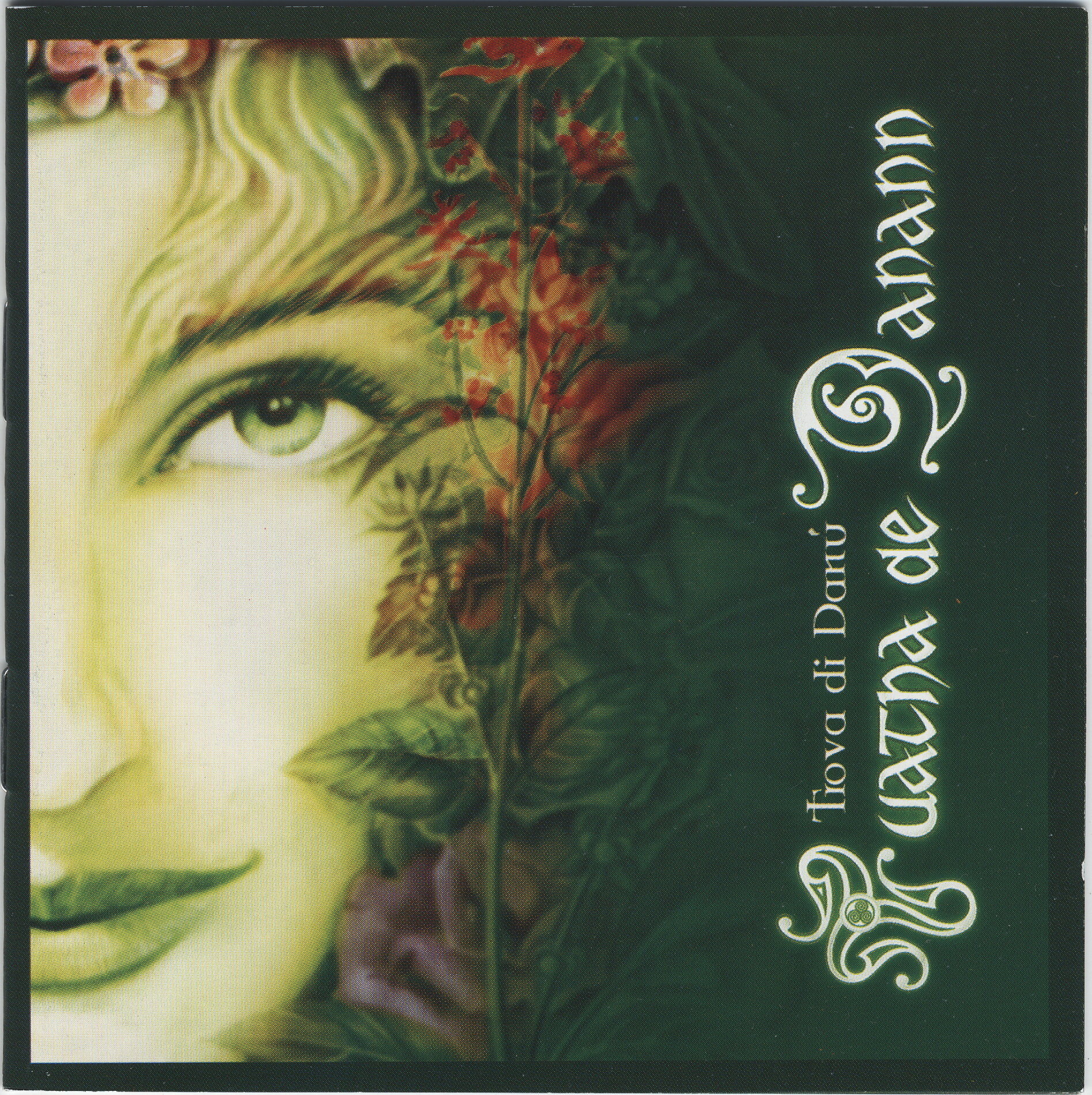 Tuatha de Danann《Land Of Youth Tir Nan Og》GTP谱