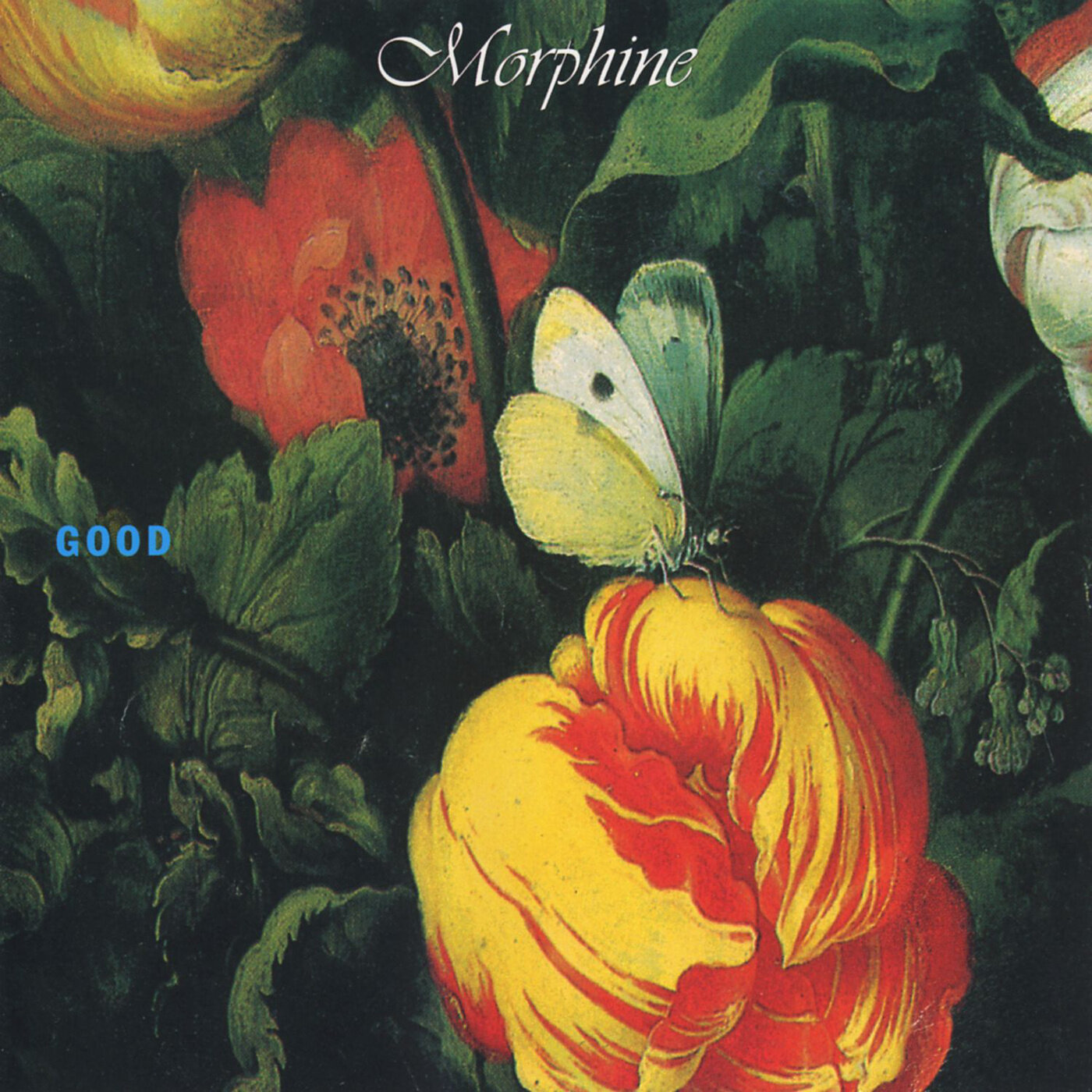 Morphine《Good》GTP谱