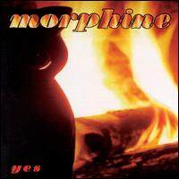Morphine《Sharks》GTP谱