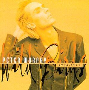 Peter Murphy《Strange Kind Of Love》GTP谱
