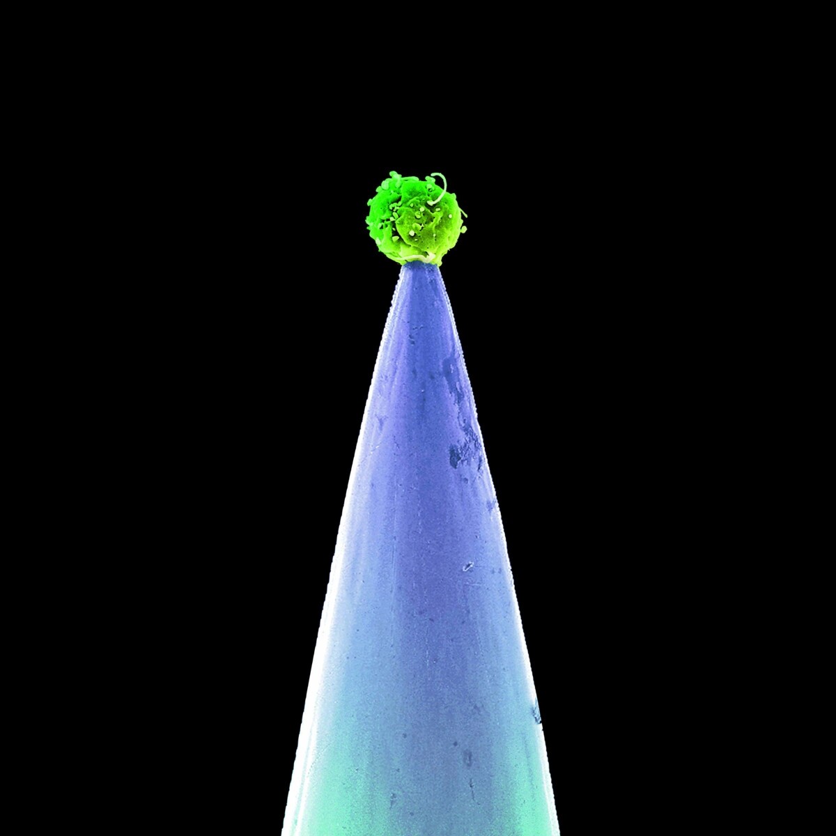 Peter Gabriel《Darkness》GTP谱