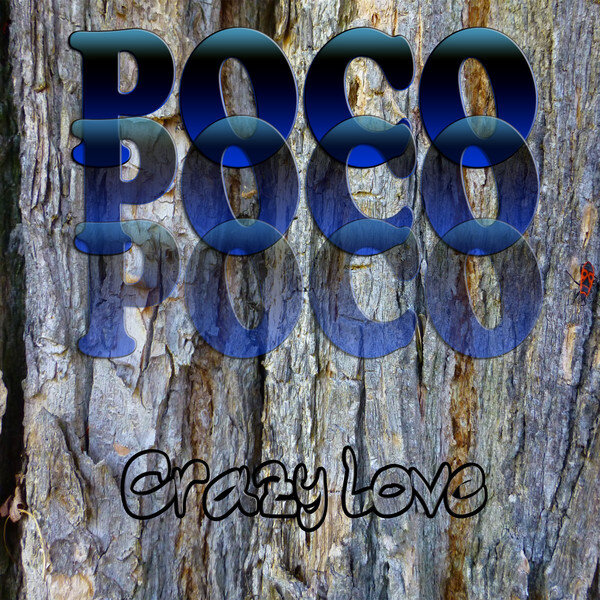 Poco《Crazy Love》GTP谱