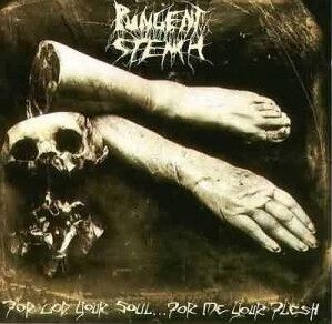 Pungent Stench《Suspended Animation》GTP谱