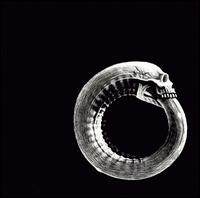 Turbonegro《Fuck The World》GTP谱