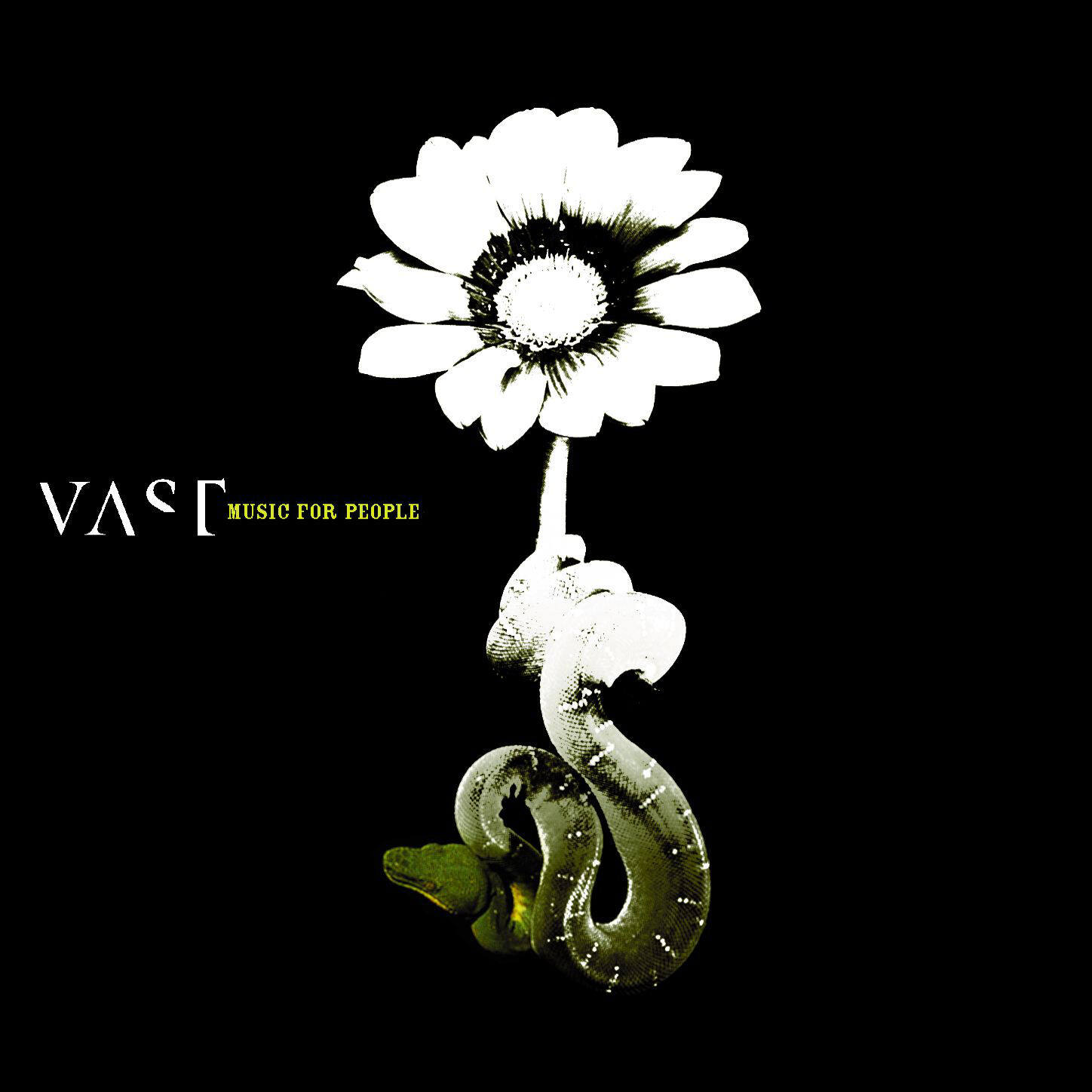 VAST《Free》GTP谱