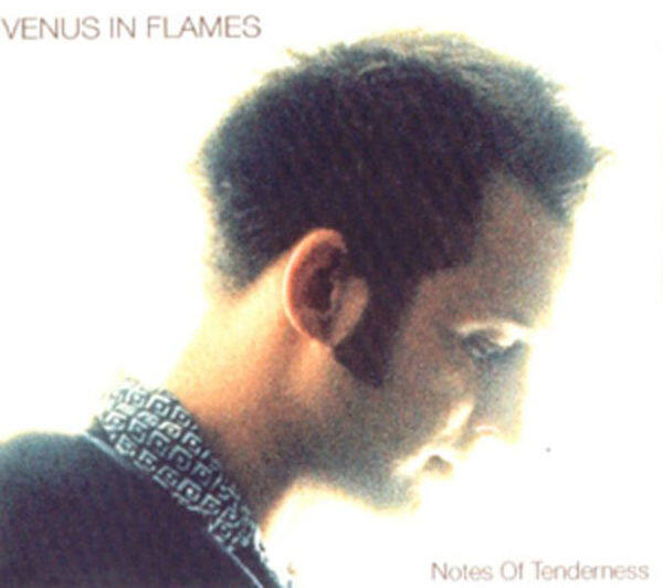 Venus《Notes Of Tenderness》GTP谱
