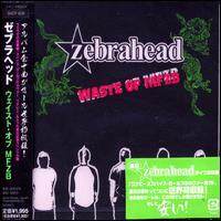 Zebrahead《Are You For Real》GTP谱
