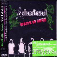 Zebrahead《Veils And Visions》GTP谱