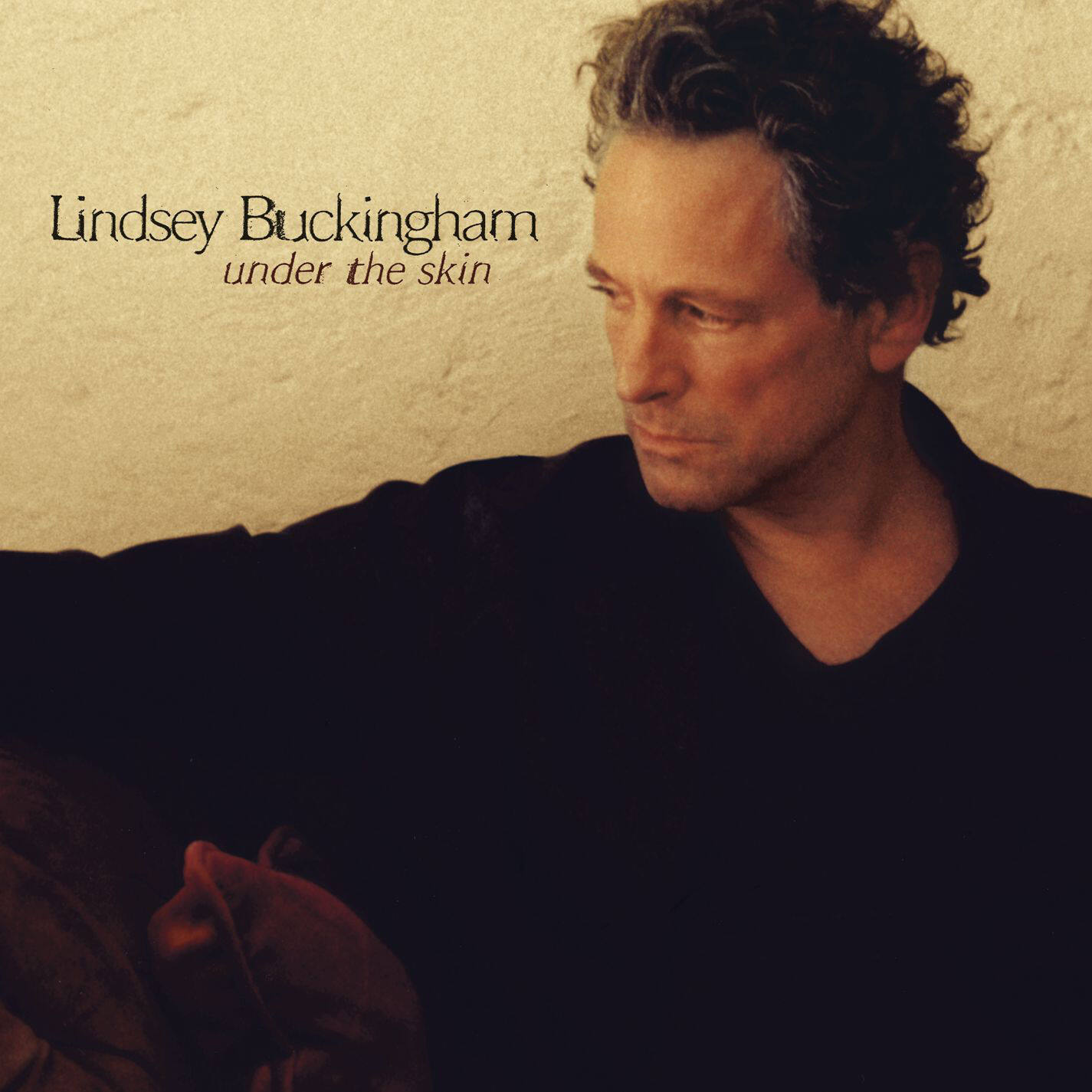 Lindsey Buckingham《Not Too Late》GTP谱