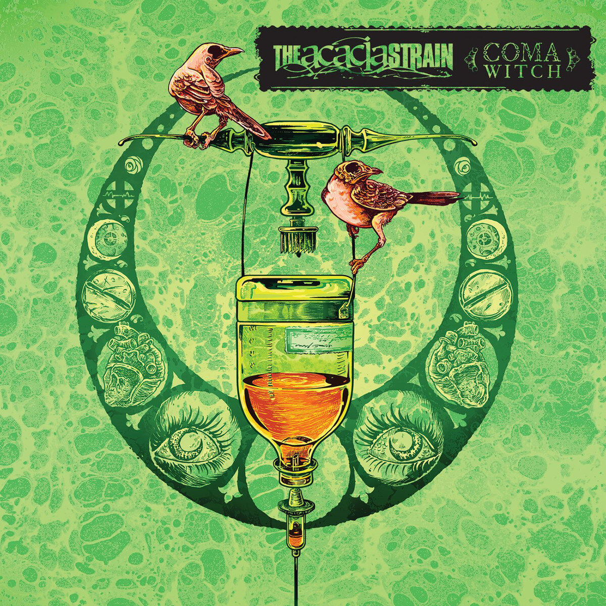 The Acacia Strain《Observer》GTP谱