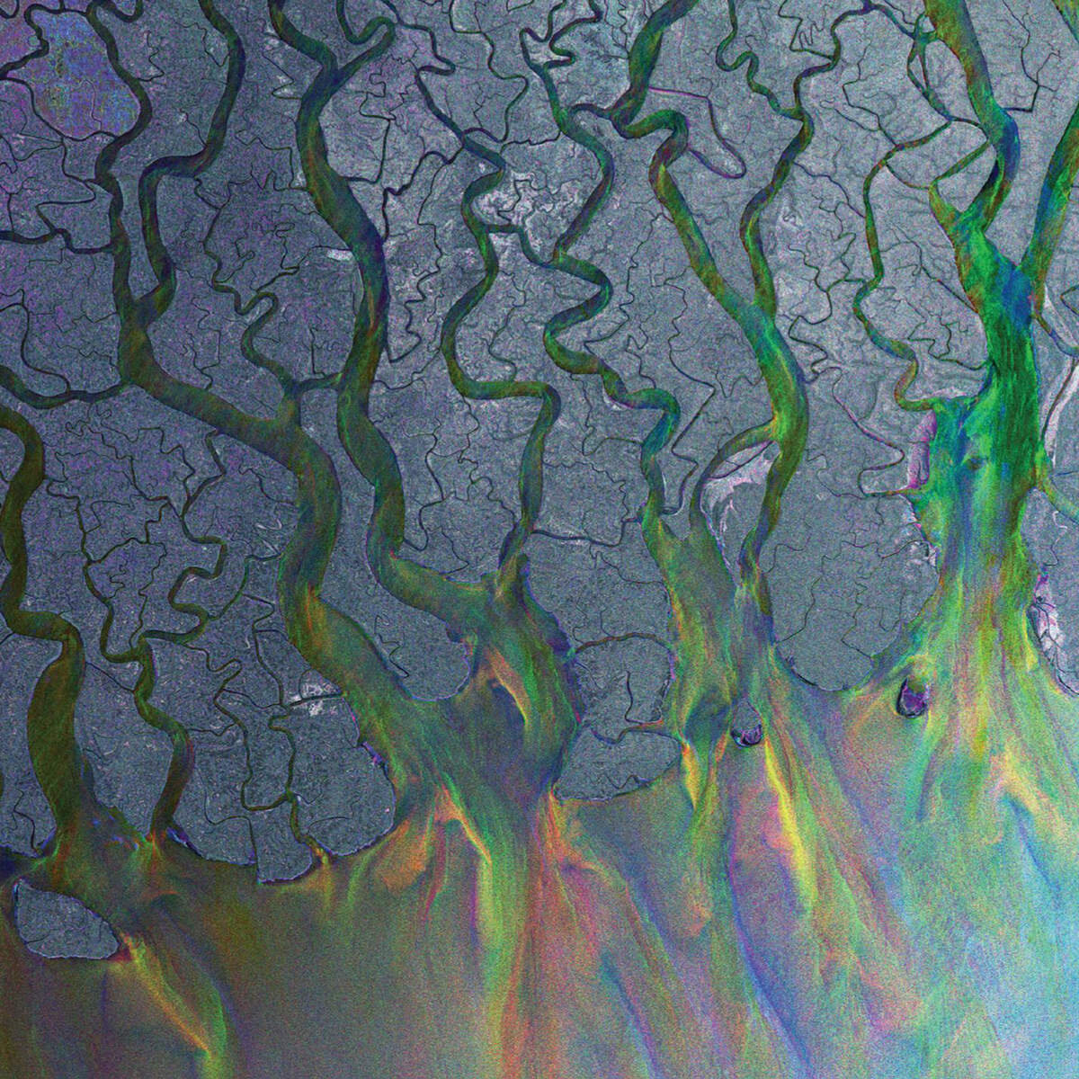 Alt-J《Interlude 1》GTP谱