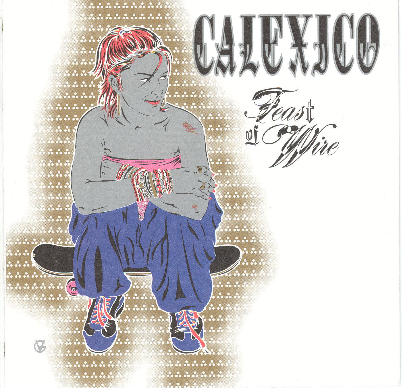 Calexico《Not Even Stevie Nicks》GTP谱