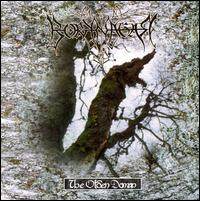 Borknagar《Om Hundrede Aar Er Alting Glemt》GTP谱