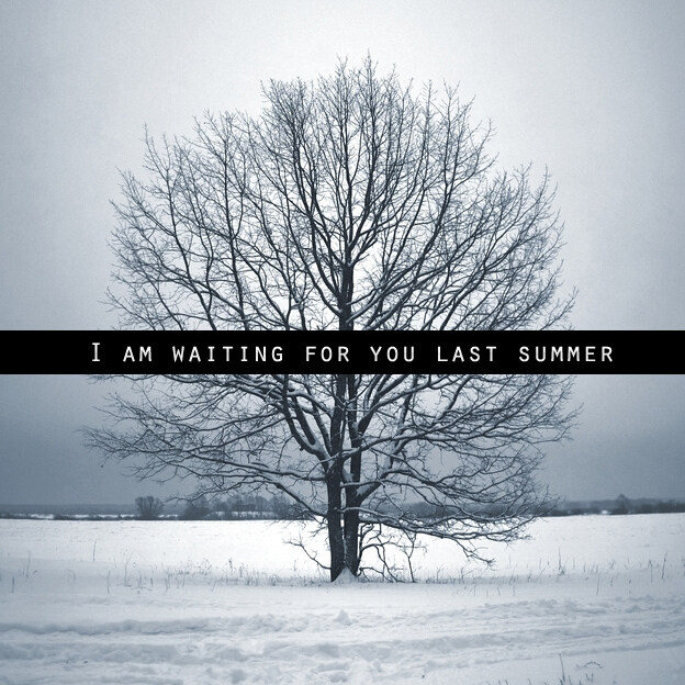I am waiting for you last summer《Solar wind》GTP谱
