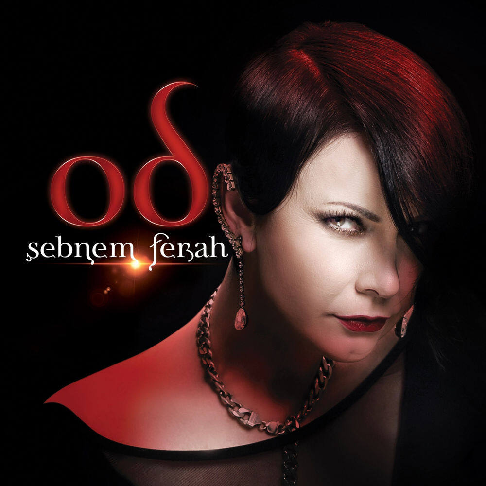 Şebnem Ferah《Birileri Var》GTP谱