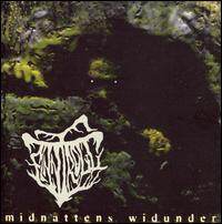 Finntroll《Midnattens Widunder》GTP谱