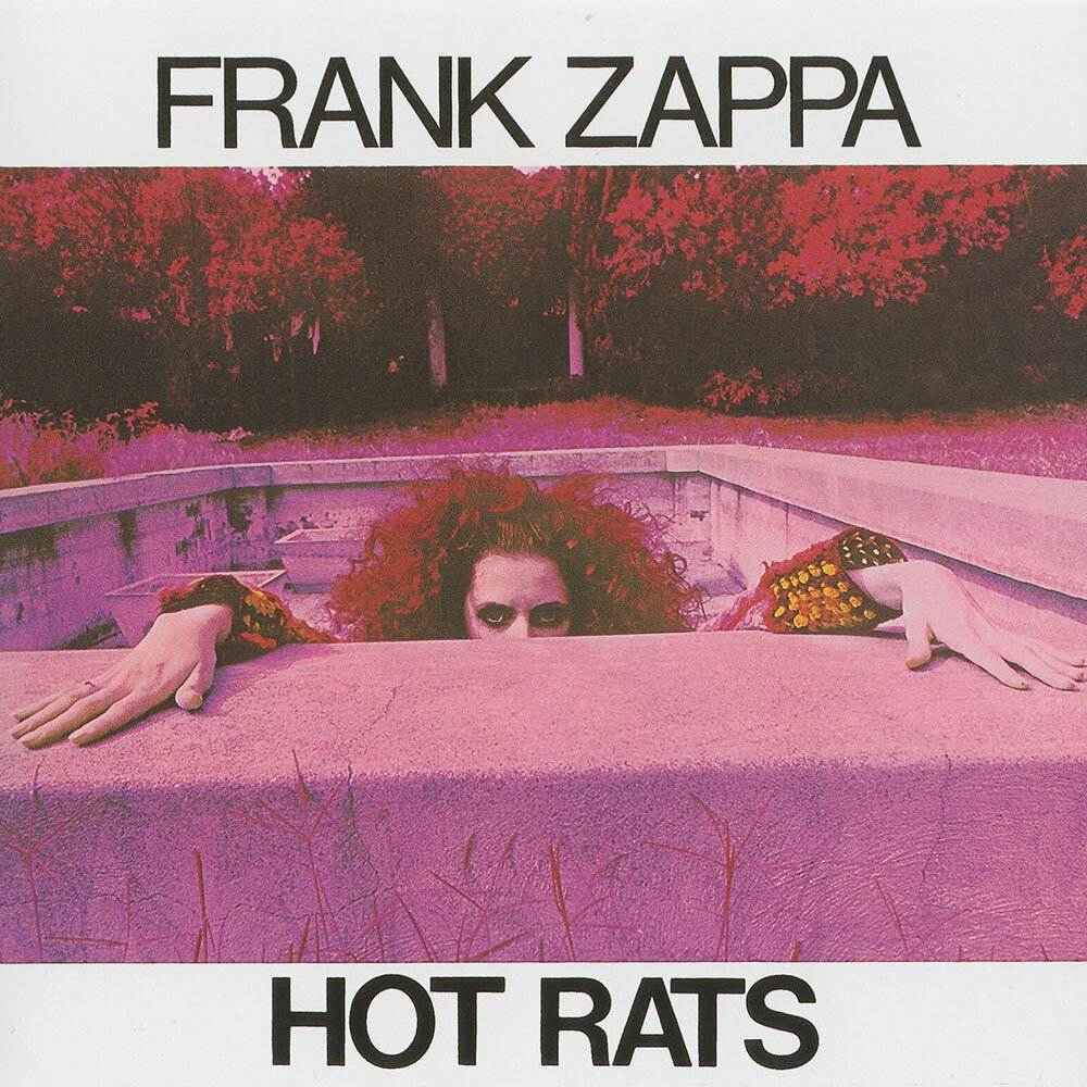 Frank Zappa《Willie The Pimp -Intro》GTP谱