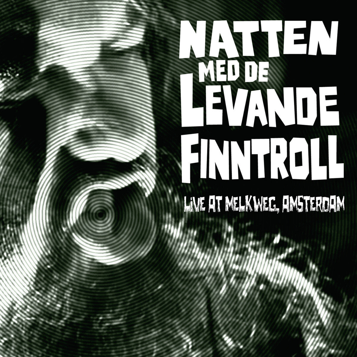 Finntroll《Slaget Vid Blodsalv》GTP谱