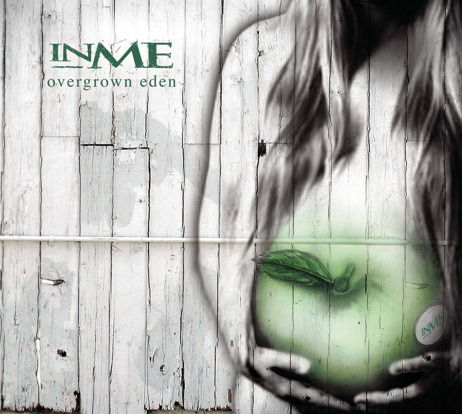 InMe《Her Mask》GTP谱