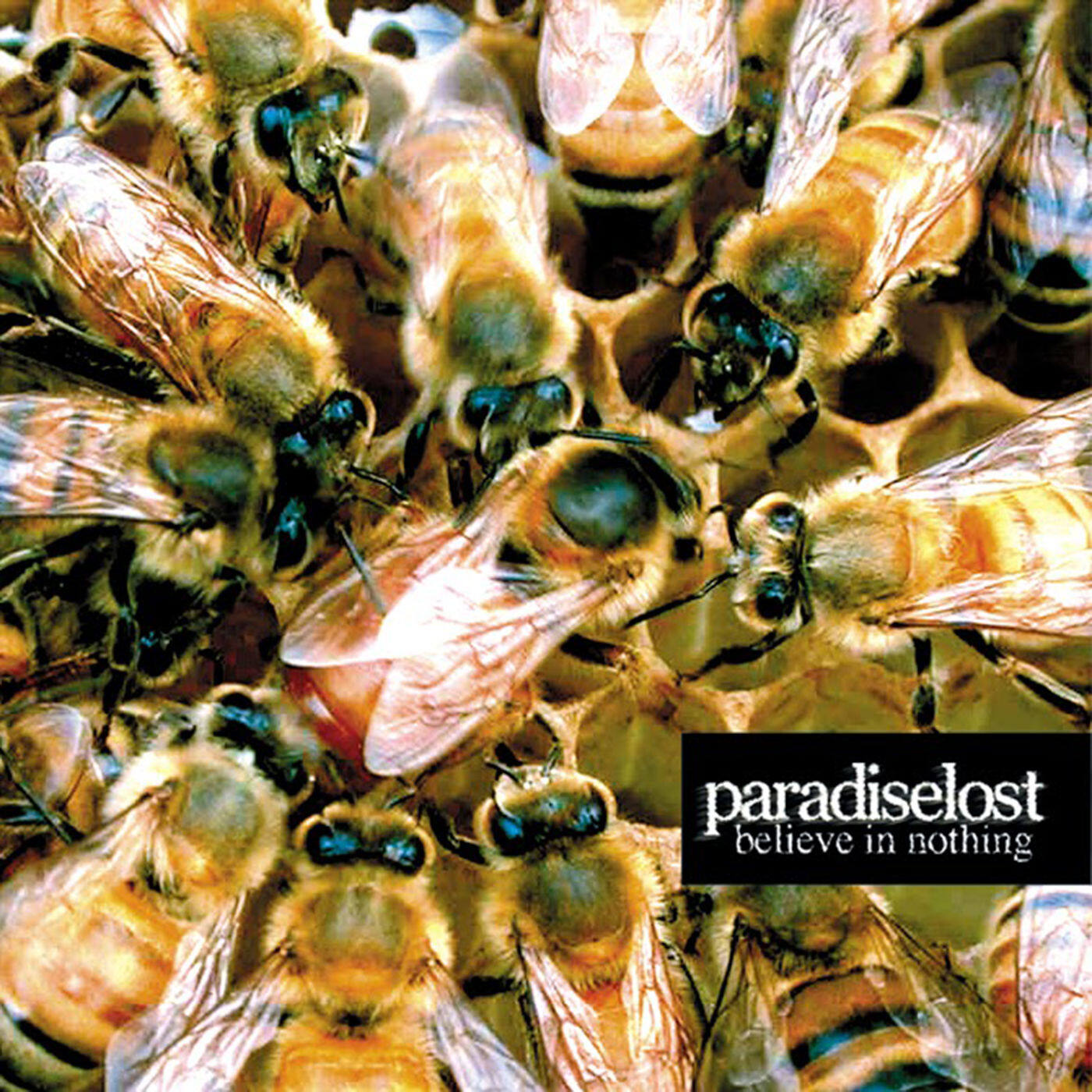 Paradise Lost《Look At Me Now -bass》GTP谱