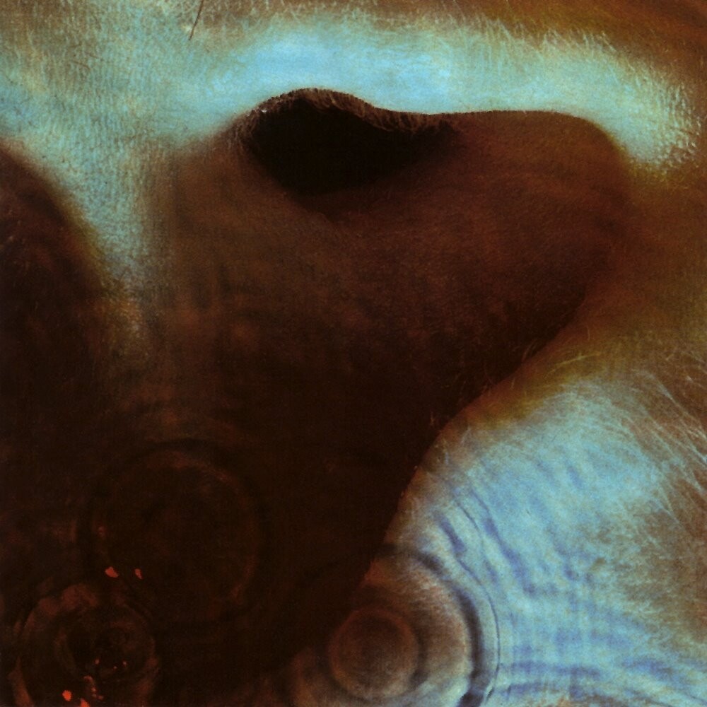 Pink Floyd《Fearless》GTP谱