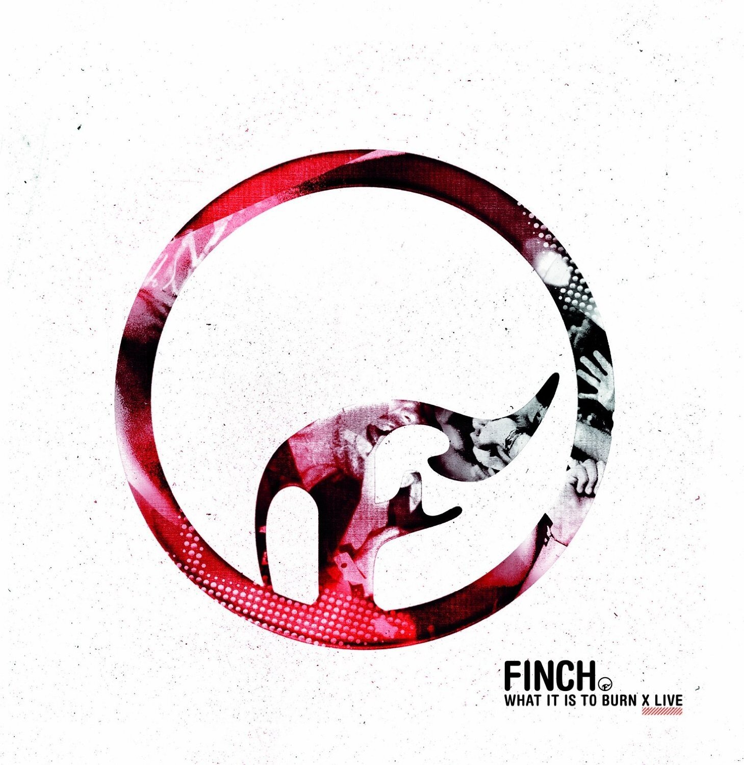 Finch《Ember》GTP谱