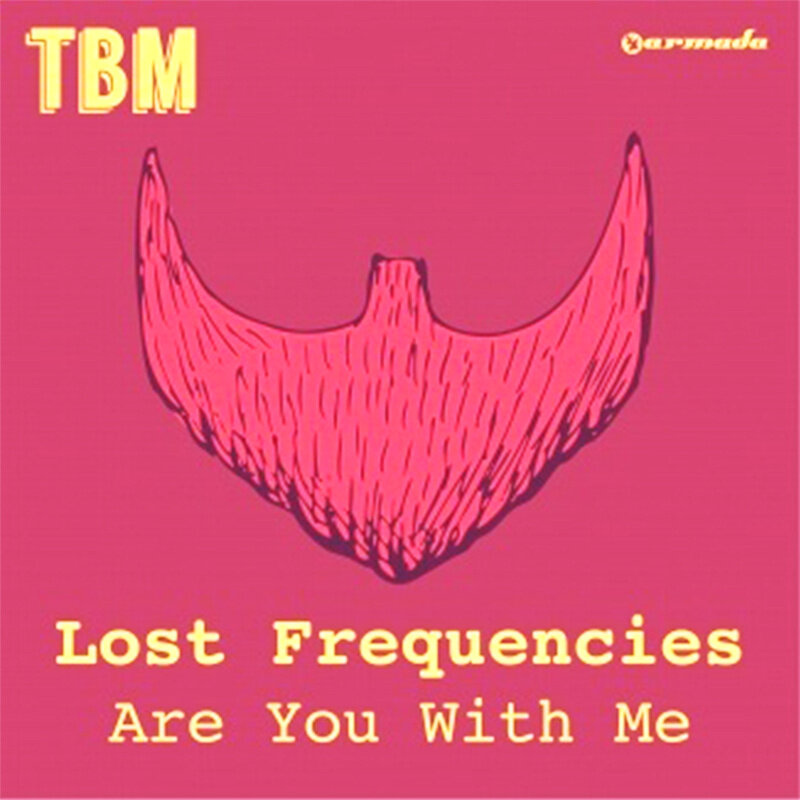 Lost Frequencies《Are You With Me》GTP谱